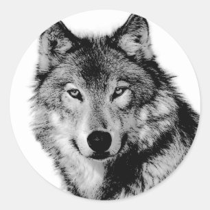 Sticker Rond Loup noir et blanc