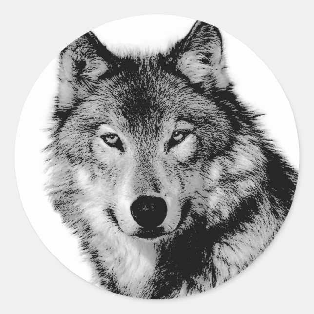 Sticker Rond Loup noir et blanc (Devant)