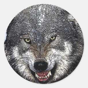 Sticker Rond Loup sauvage