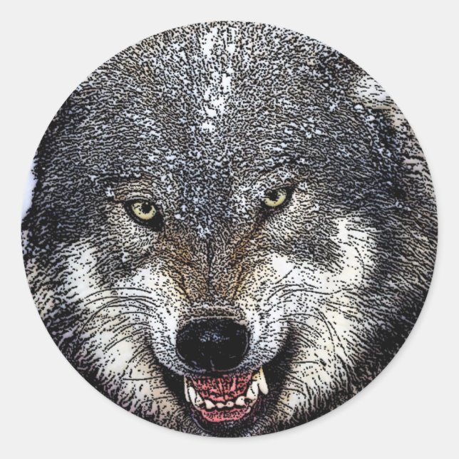 Sticker Rond Loup sauvage (Devant)