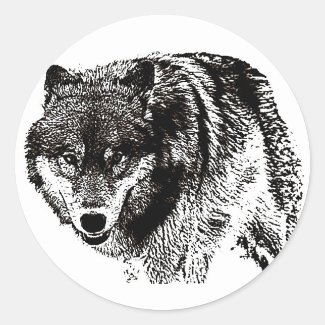 Sticker Rond Loup sauvage (Devant)