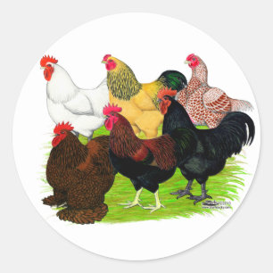 Sticker Rond Lourd ajout de coq