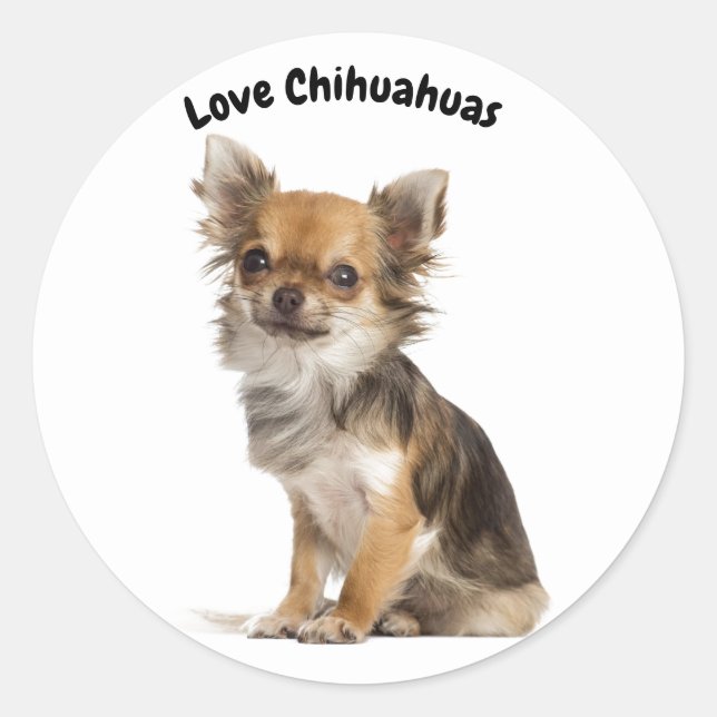 Sticker Rond Love Chihuahuas (Devant)