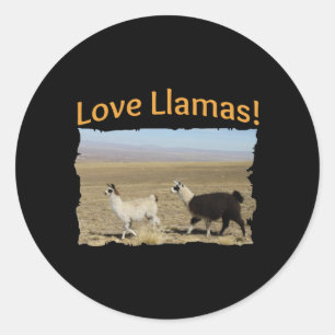 Sticker Rond Love Llamas - Les meilleurs amis