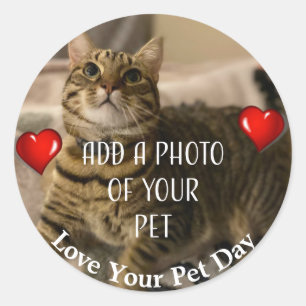 Sticker Rond Love Your Pet Day