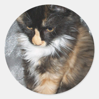 Sticker Rond Lovely Lucy Bell