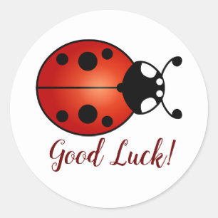 Sticker Rond Lucky Ladybug Rouge Orange Noir Ladybird Bonne cha