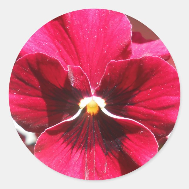 Sticker Rond Lucrezia (Devant)