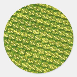 Sticker Rond Luminosité !