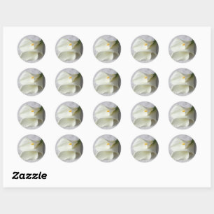 Sticker Rond Lys calla blanc sur lin