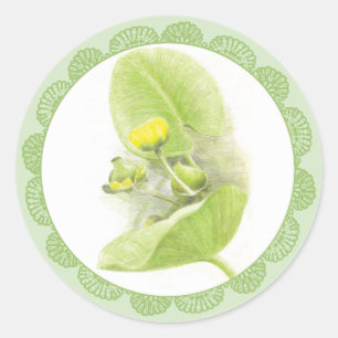 Sticker Rond Lys de fleurs