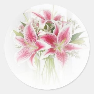 Sticker Rond lys de tigre rose et blanc