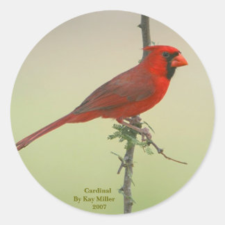 Sticker Rond M. Cardinal