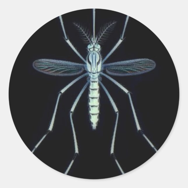 STICKER ROND M POWER, (Devant)