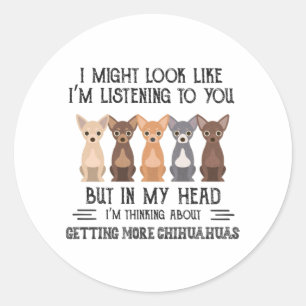 Sticker Rond Ma tête je pense à obtenir plus de Chihuahuas