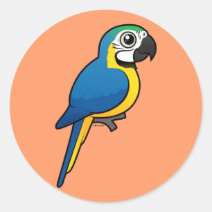Sticker Rond Macaw bleu et jaune