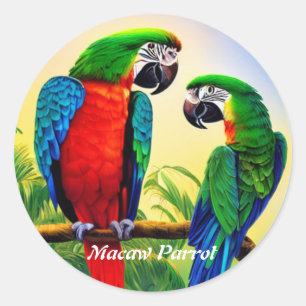 Sticker Rond Macaw Parrot