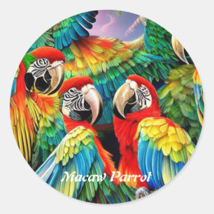 Sticker Rond Macaw Parrot