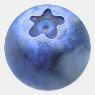 Sticker Rond Macro Blueberry