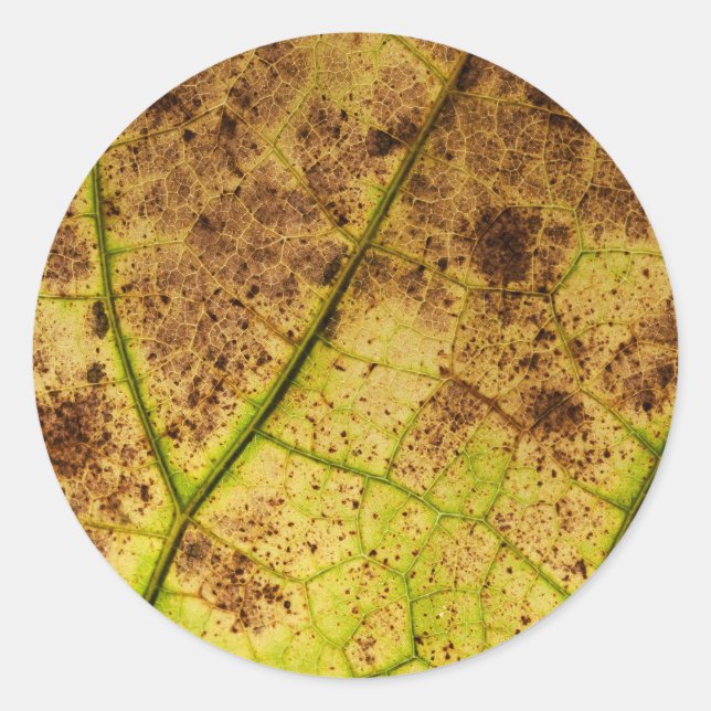 Sticker Rond Macro-feuille Jaune et Mort Brown (Devant)