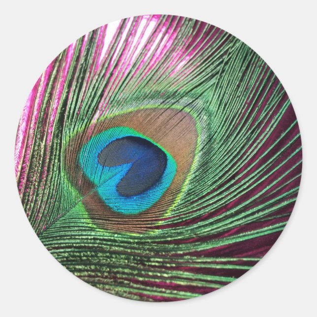Sticker Rond Magenta Peacock (Devant)