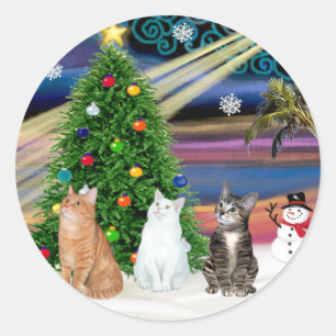 Sticker Rond Magie de Noël - 3 chats (2 tabbys - blanc)