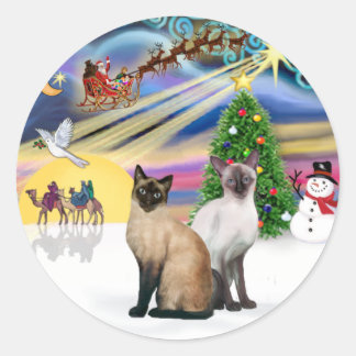 Sticker Rond Magie de Noël (R) - Deux chats siamois