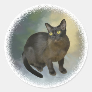 Sticker Rond Magnifique Birmane