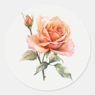 Sticker Rond Magnifique fleur de jardin de rose pêche art flora