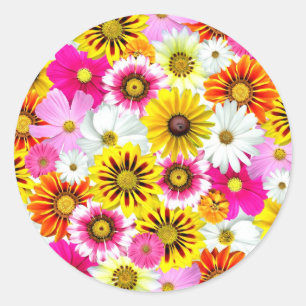 Sticker Rond Magnifique fleurs rose jaune Accessoires motifs
