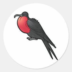 Sticker Rond Magnifique Frigatebird