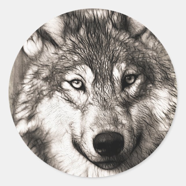 Sticker Rond Magnifique loup visage photo accessoires d'impress (Devant)