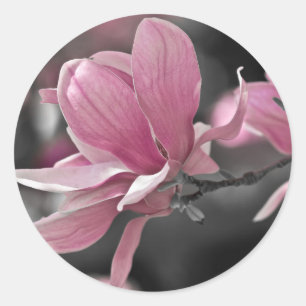 Sticker Rond Magnolia