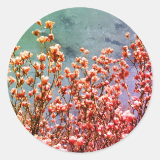 Sticker Rond Magnolia Fleurs Ciel Bleu Art Nature