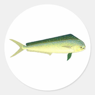 Sticker Rond Mahi Mahi - Dolphin Fish Art