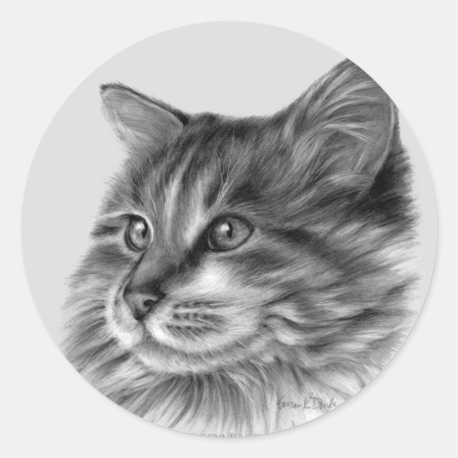 Sticker Rond Maine Coon (Devant)
