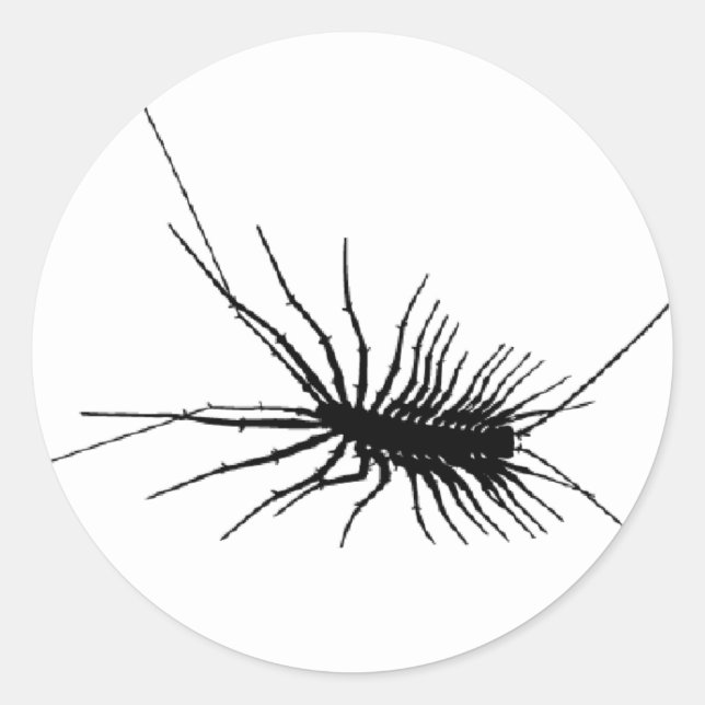 Sticker Rond Maison Centipede noir effrayant Bug Insect Gross L (Devant)
