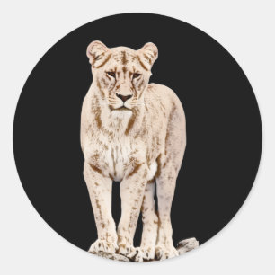 Sticker Rond Majestic Lioness