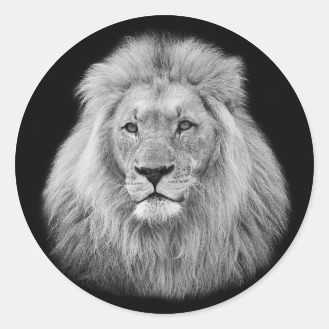 Sticker Rond Majestic mâle lion noir et blanc photo (Devant)