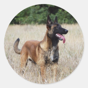 Sticker Rond malinoi