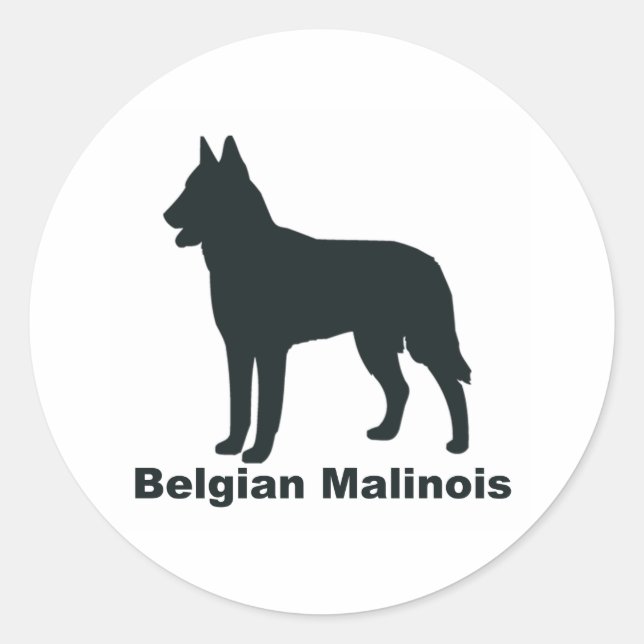 Sticker Rond Malinois belge (Devant)