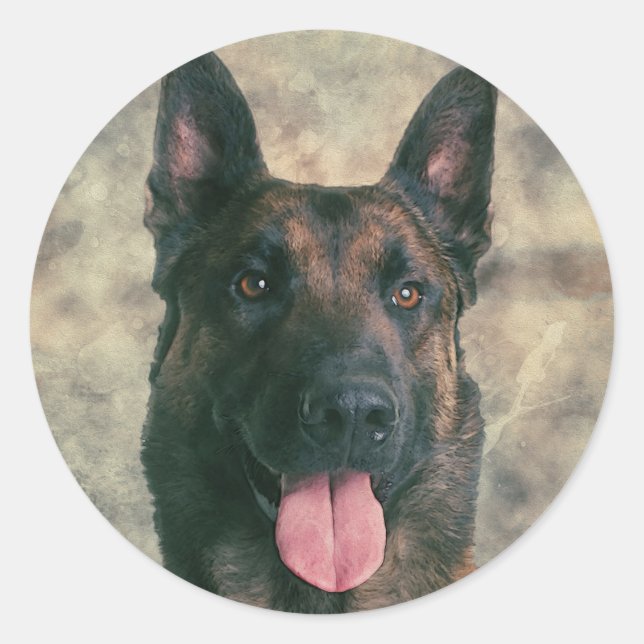 Sticker Rond Malinois - Berger belge -Mechelaar -Maligator (Devant)