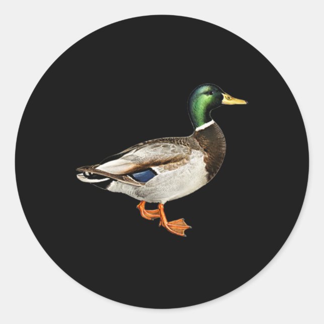 Sticker Rond Mallard Drake Pocket Logo Mallard Ducks Hunti (Devant)