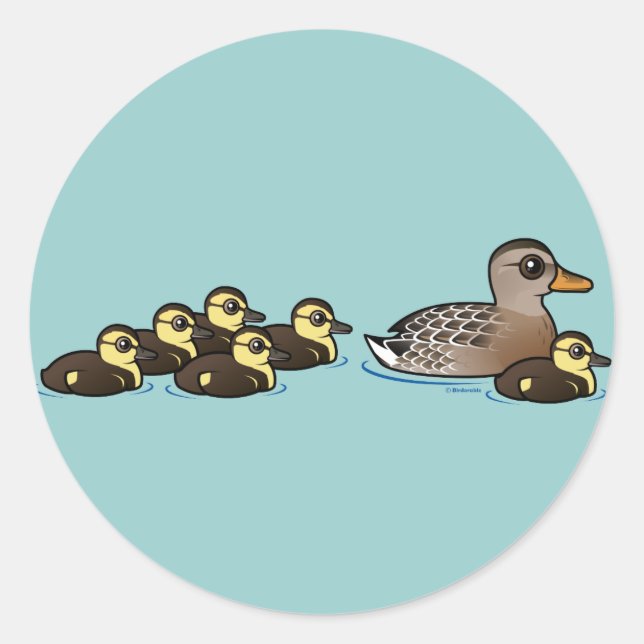 Sticker Rond Mallard et six canetons (Devant)