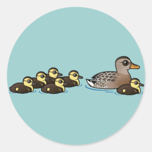 Sticker Rond Mallard et six canetons