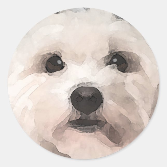 Sticker Rond Maltipoo (Devant)