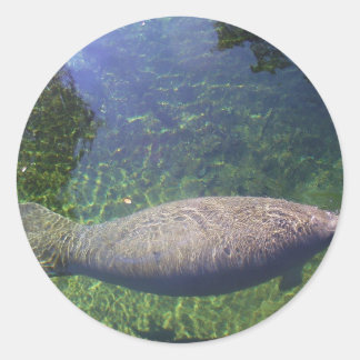 Sticker Rond Manatee