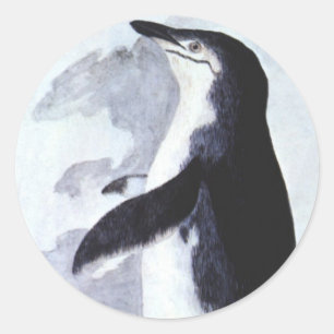 Sticker Rond Manchot à Collerette, Oiseaux Vintage d'Antarctiqu