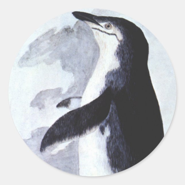 Sticker Rond Manchot à Collerette, Oiseaux Vintage d'Antarctiqu (Devant)
