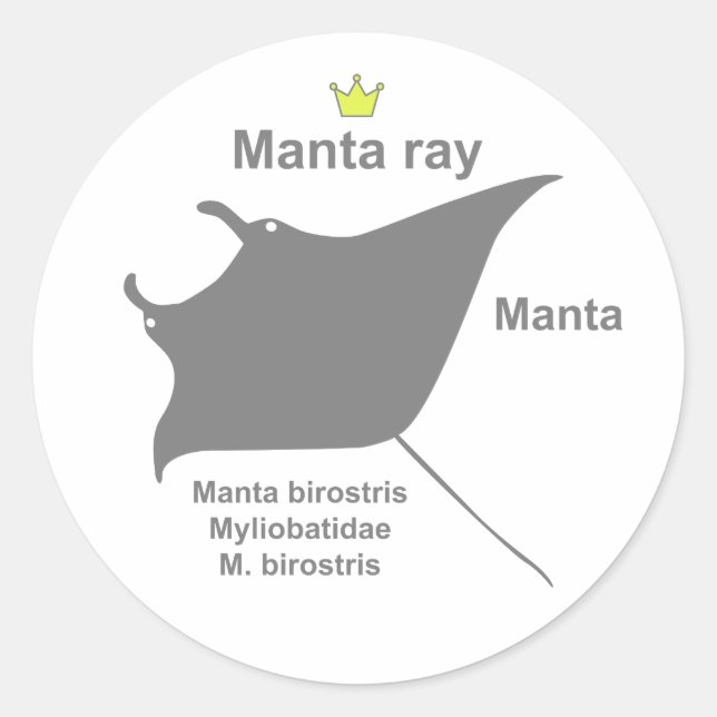 Sticker Rond Manta ray g5 (Devant)